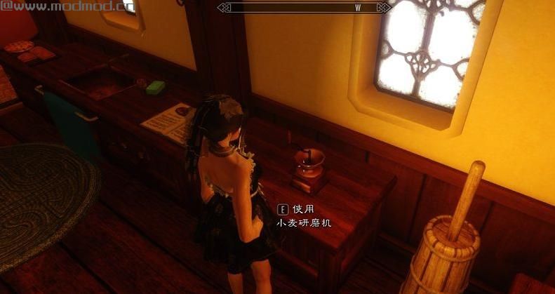 上古卷轴5：天际白河憩所MOD下载