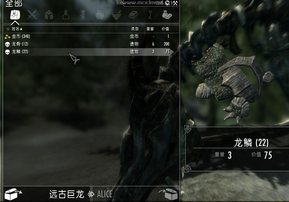 上古卷轴5：天际 功能性Mod下载+安装说明