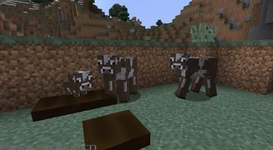 我的世界1.8.0饥饿动物MOD下载