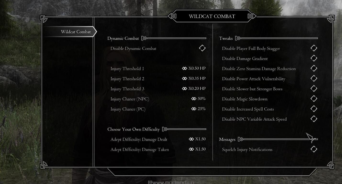 上古卷轴5：天际 荒野之猫-天际战斗大修MOD下载+安装说明