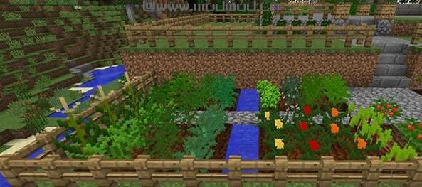 我的世界1.6.4更多植物MOD下载