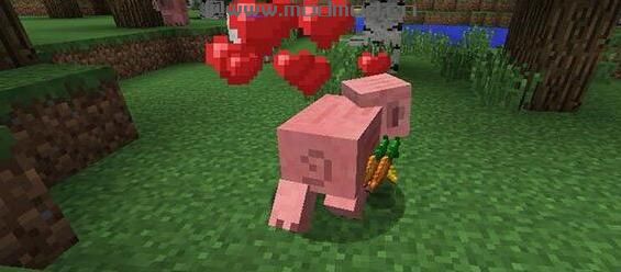 我的世界 1.8.0简便喂食MOD下载+安装说明