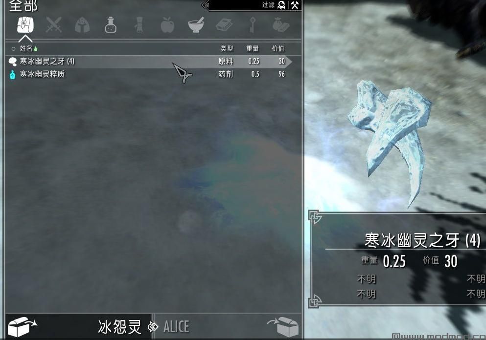 上古卷轴5：天际功能性Mod下载