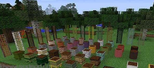 我的世界1.6.4更多植物MOD下载