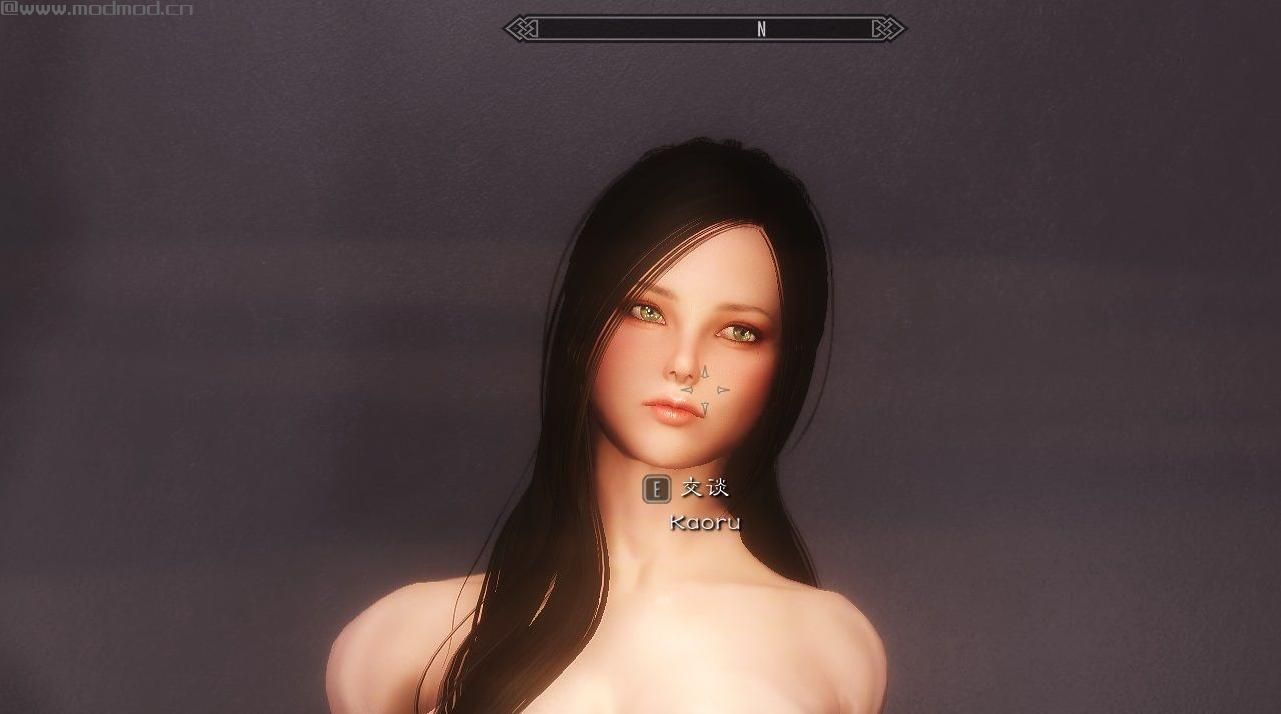 上古卷轴5：天际独立随从熏MOD下载