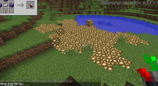 我的世界 1.7.2细菌MOD下载+安装说明