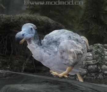 上古卷轴5：天际 泰姆瑞尔的野兽MOD下载+安装说明