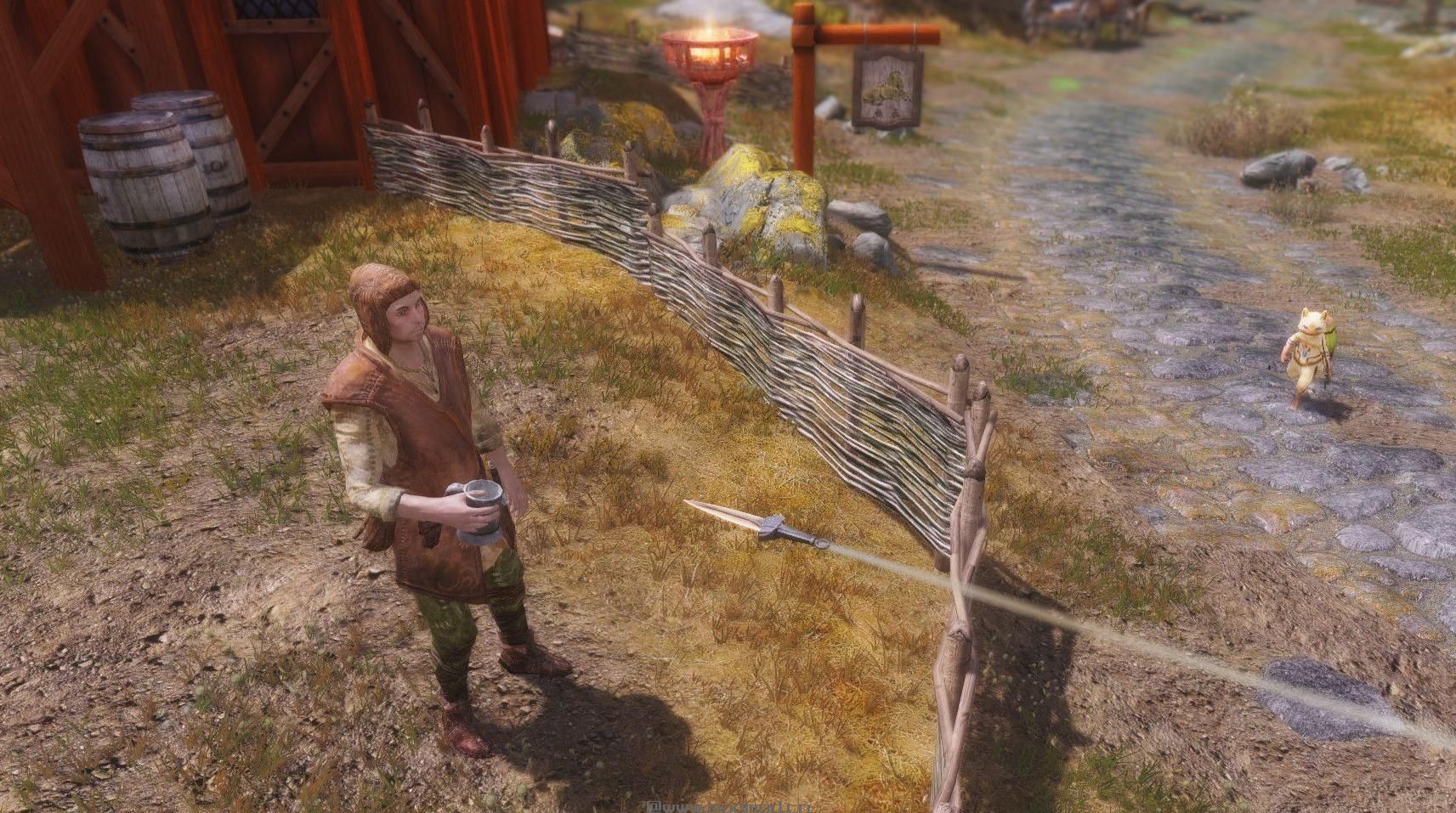 上古卷轴5：天际 武林神功小李飞刀v2.0完美重制版下载+安装说明