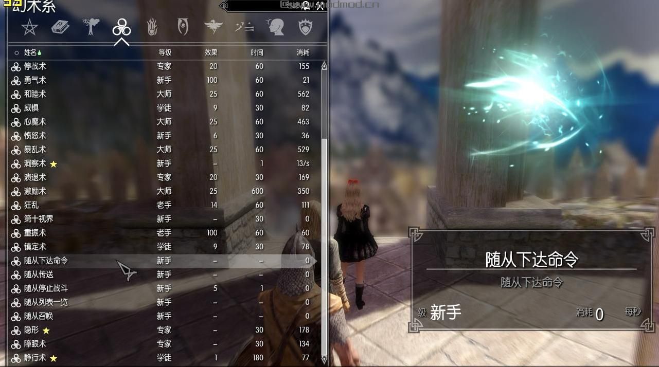 上古卷轴5：天际DRFollowSystemMOD下载