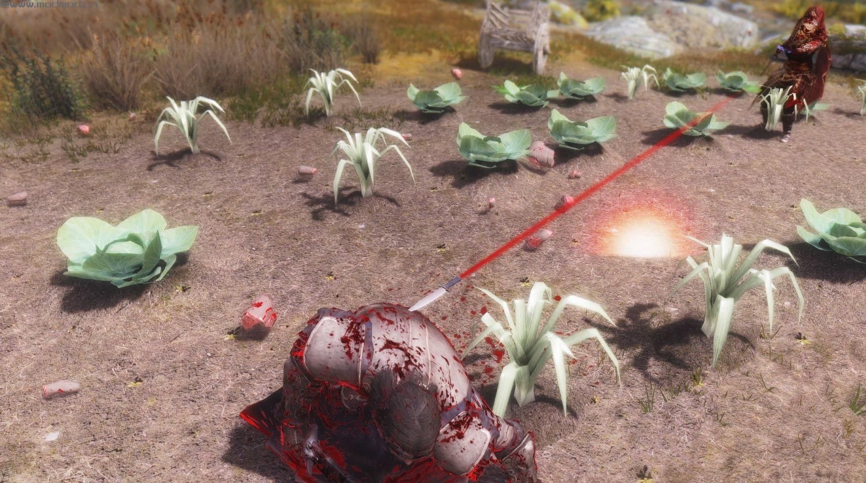 上古卷轴5：天际武林神功小李飞刀v2.0完美重制版下载