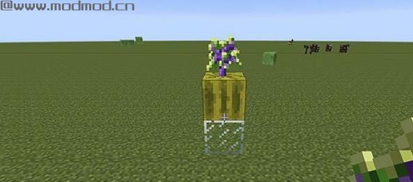 我的世界1.7.2自定义树木MOD下载