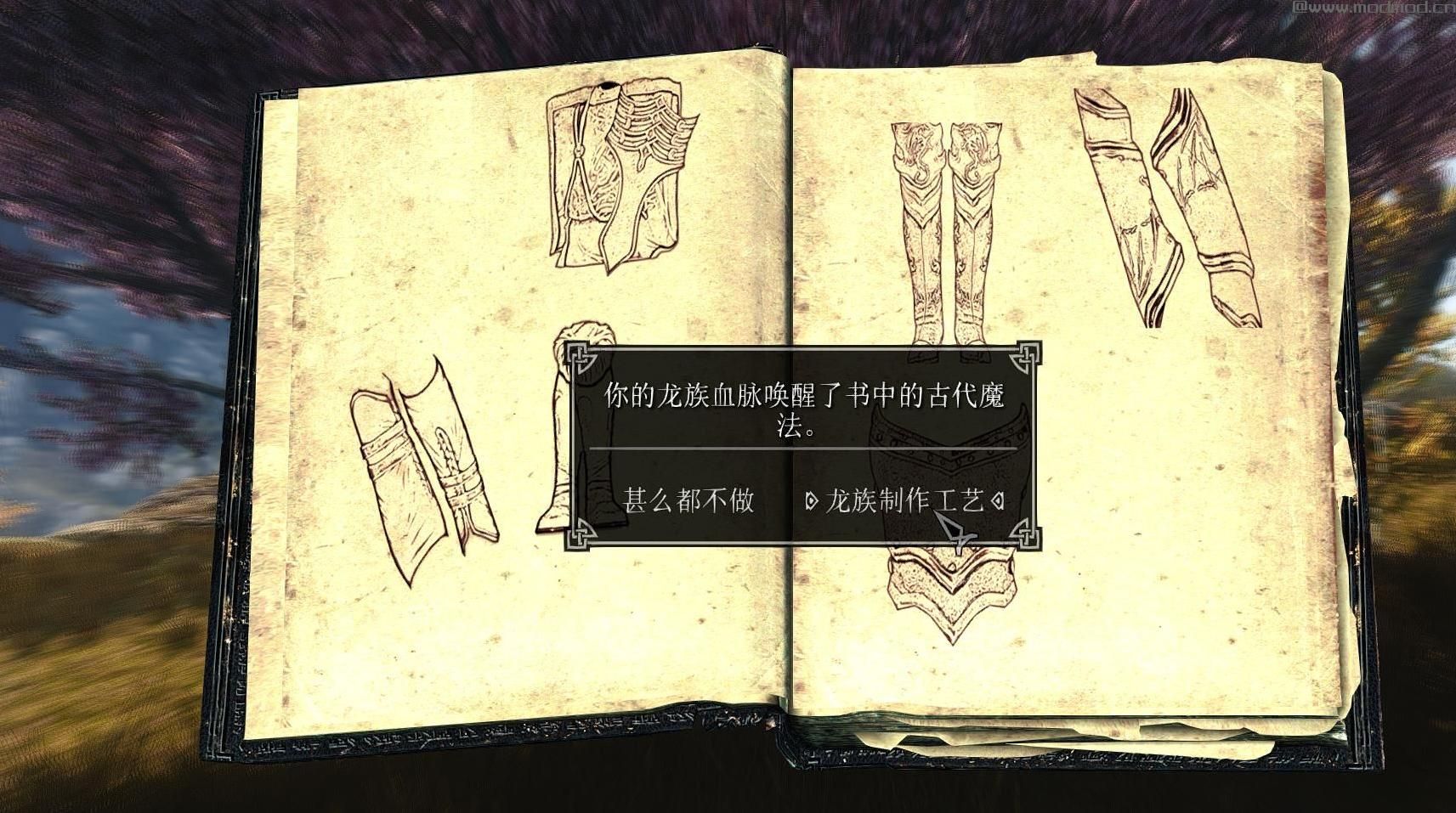 上古卷轴5：天际龙族血统套装MOD下载