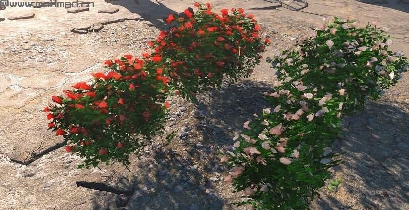 辐射4花园植物农作物种植工作台MOD下载