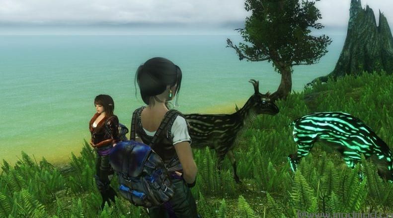 上古卷轴5：天际7境时空穿梭魔法MOD下载