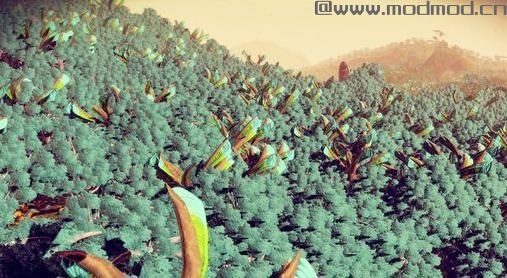 无人深空植物密度MOD下载