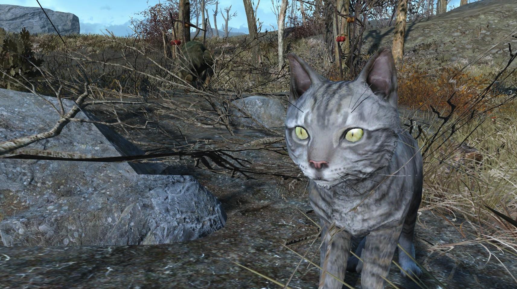 辐射4无线电招募动物和小孩MOD下载