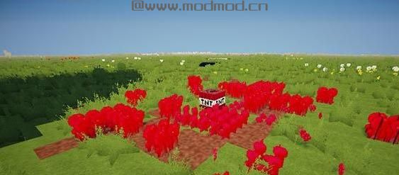 我的世界 植物TNTMOD下载+安装说明