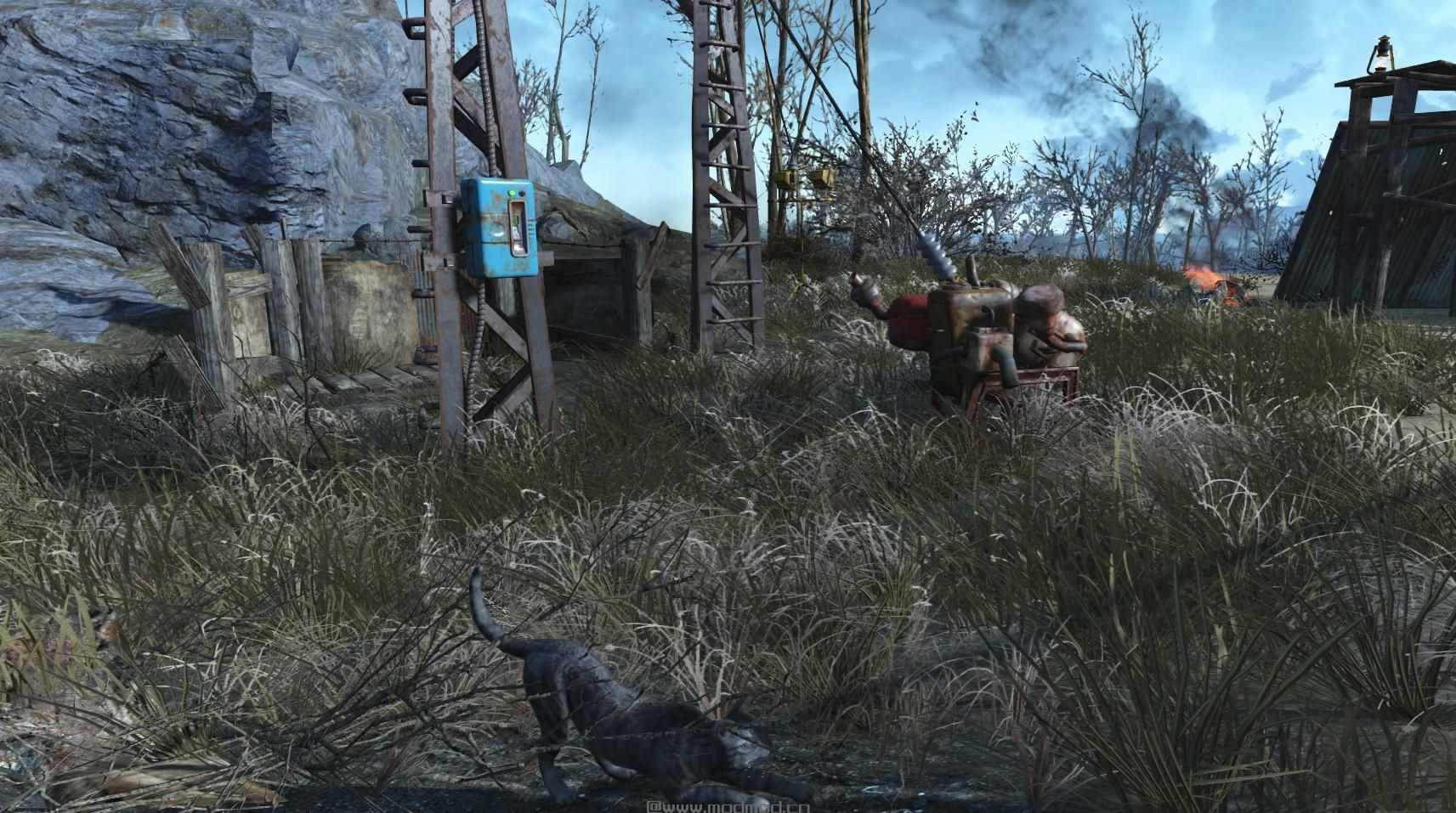 辐射4无线电招募动物和小孩MOD下载