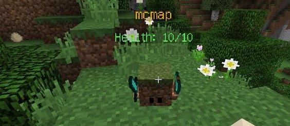 我的世界宠物方块MOD下载