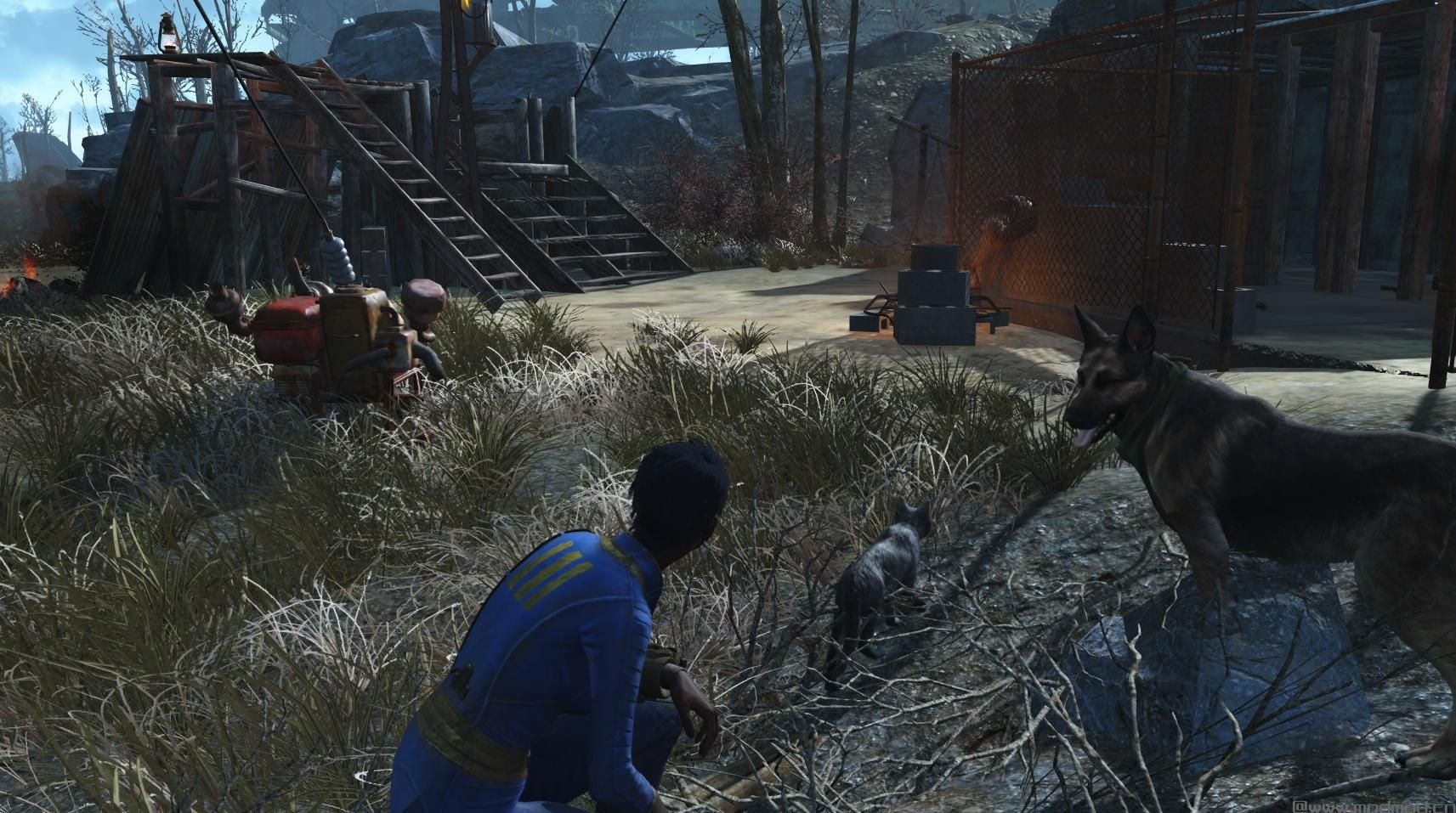 辐射4无线电招募动物和小孩MOD下载