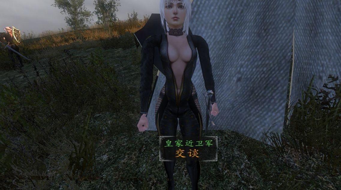 骑马与砍杀：战团v1.153光明与黑暗MM版MOD下载