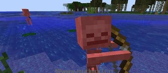 我的世界v1.10.2怕水骷髅MOD下载