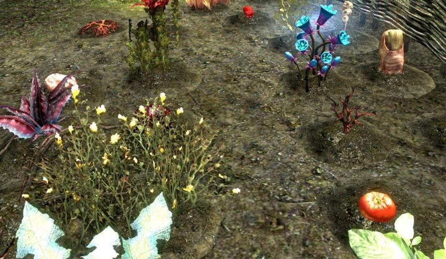 上古卷轴5更多种类可种植的作物MOD下载