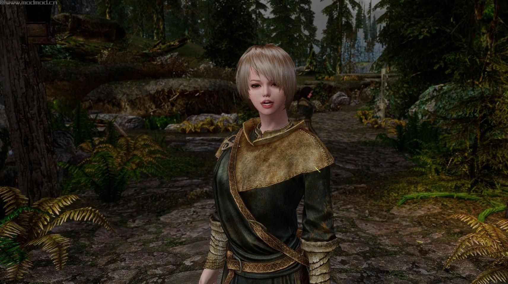 上古卷轴5：天际重制版 v1.0随从五合一MOD下载+安装说明