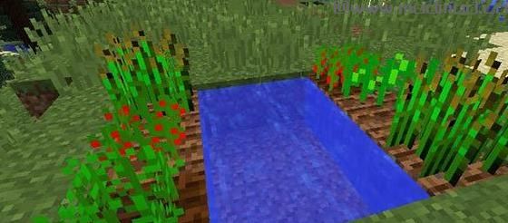 我的世界v1.10.2法老王的盛宴MOD下载