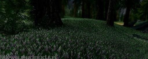 上古卷轴5 梦幻草地MOD下载+安装说明