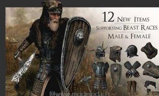 上古卷轴5塔洛斯侍卫装备MOD下载
