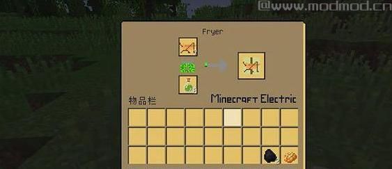 我的世界v1.10可食用的昆虫MOD下载