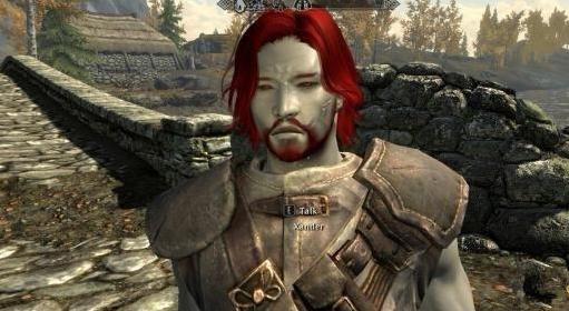 上古卷轴5黑暗精灵赞德随从MOD下载