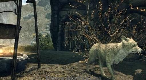 上古卷轴5：天际重制版雪狐妮妮随从MOD下载