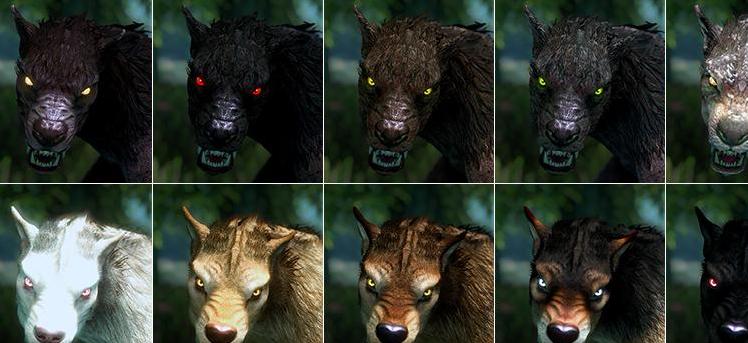 上古卷轴5：天际重制版月光传说MOD下载
