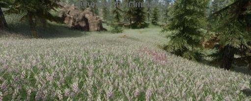 上古卷轴5梦幻草地MOD下载