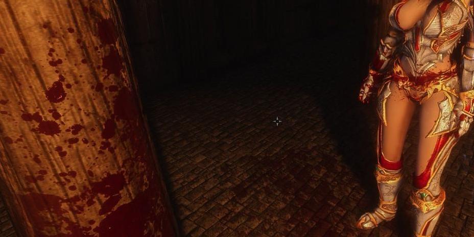 上古卷轴5：天际重制版血液材质MOD下载