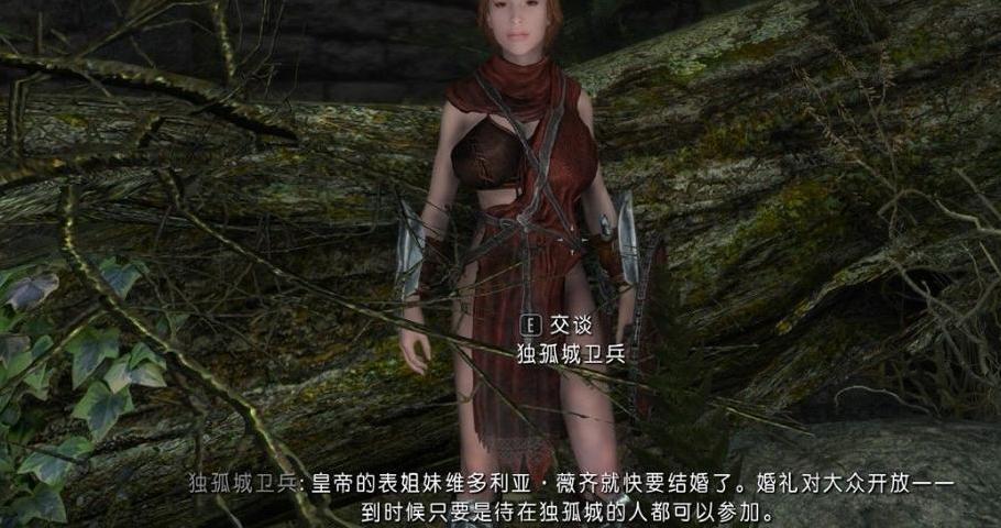 上古卷轴5：天际重制版帝国女兵MOD下载