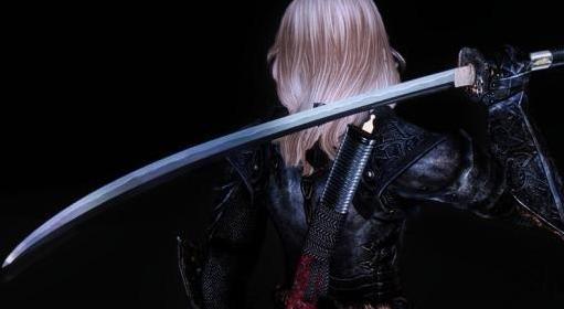 上古卷轴5：天际重制版刀锋卫士大宗师强化版MOD下载