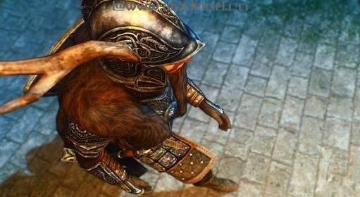 上古卷轴5塔洛斯侍卫装备MOD下载