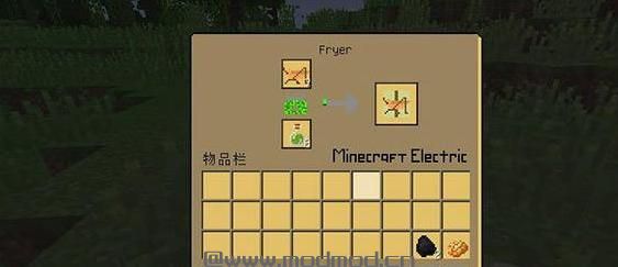 我的世界v1.9.4可食用的昆虫MOD下载