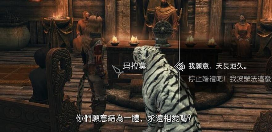 上古卷轴5：天际重制版虎人萌妹子MOD下载