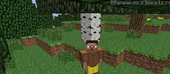 我的世界v1.9.4时装MOD下载