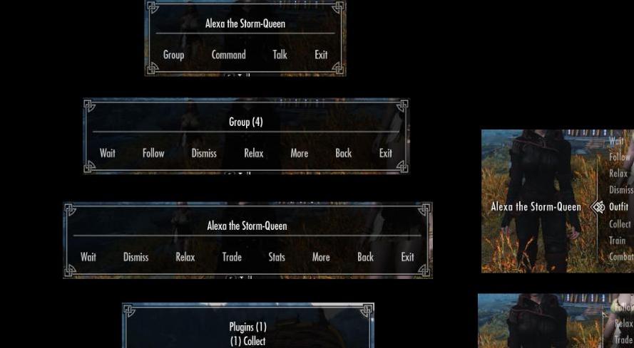 上古卷轴5：天际重制版EFF多随从管理MOD下载