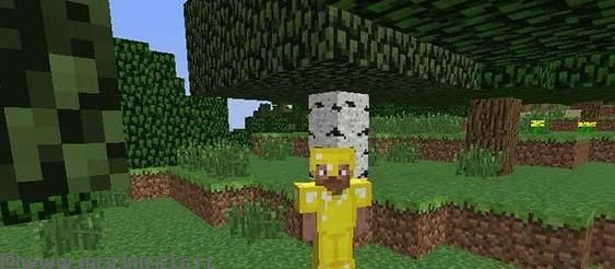 我的世界v1.9.4时装MOD下载