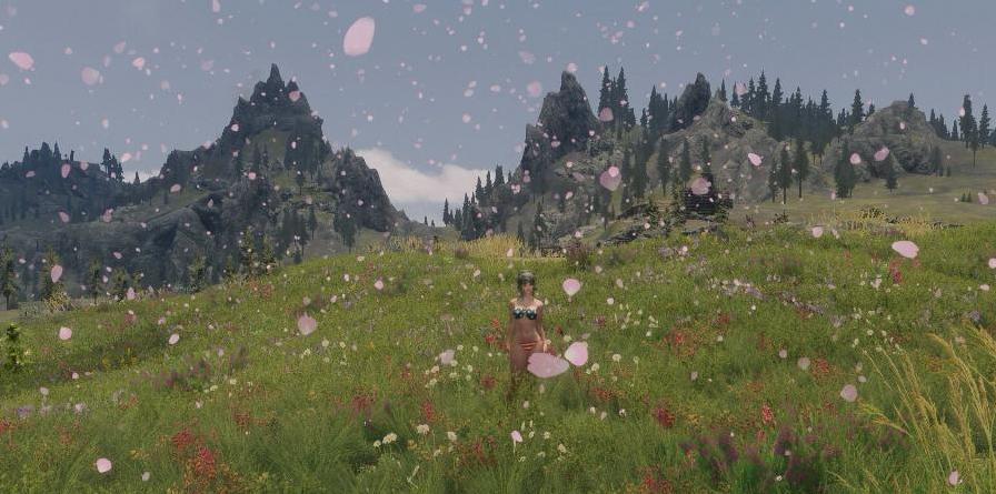 上古卷轴5：天际重制版梦幻色彩MOD下载