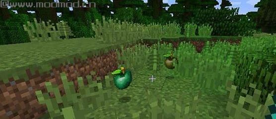 我的世界v1.10.2特效水果MOD下载