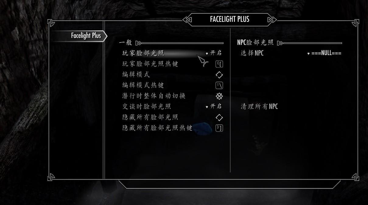 上古卷轴5脸部光照MOD下载