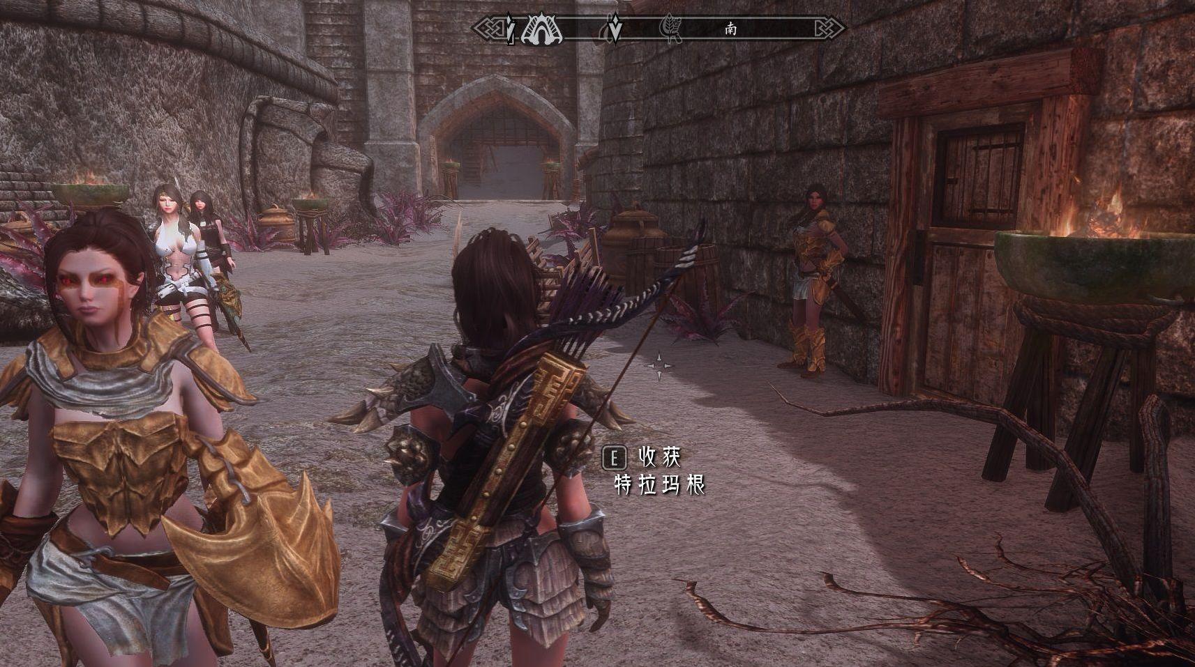 上古卷轴5：天际重制版三个女卫兵MOD下载