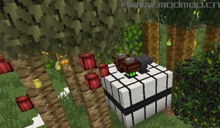 我的世界 林业MOD下载+安装说明